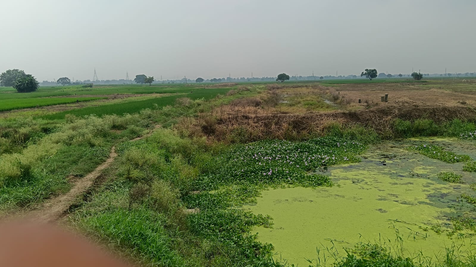 Residential Plot