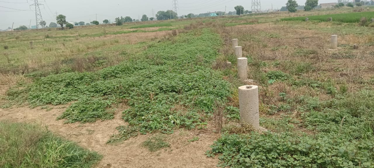 Residential Plot