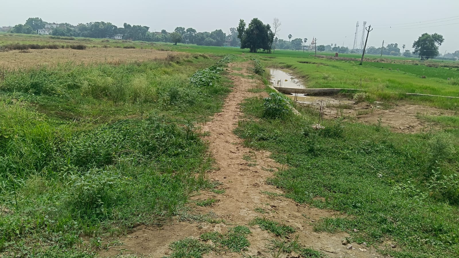 Residential Plot