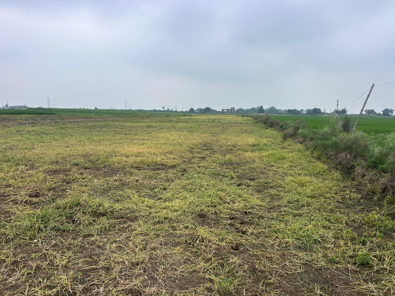 Commercial Plot